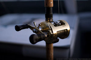 Shimano Reel with OrDella Rod